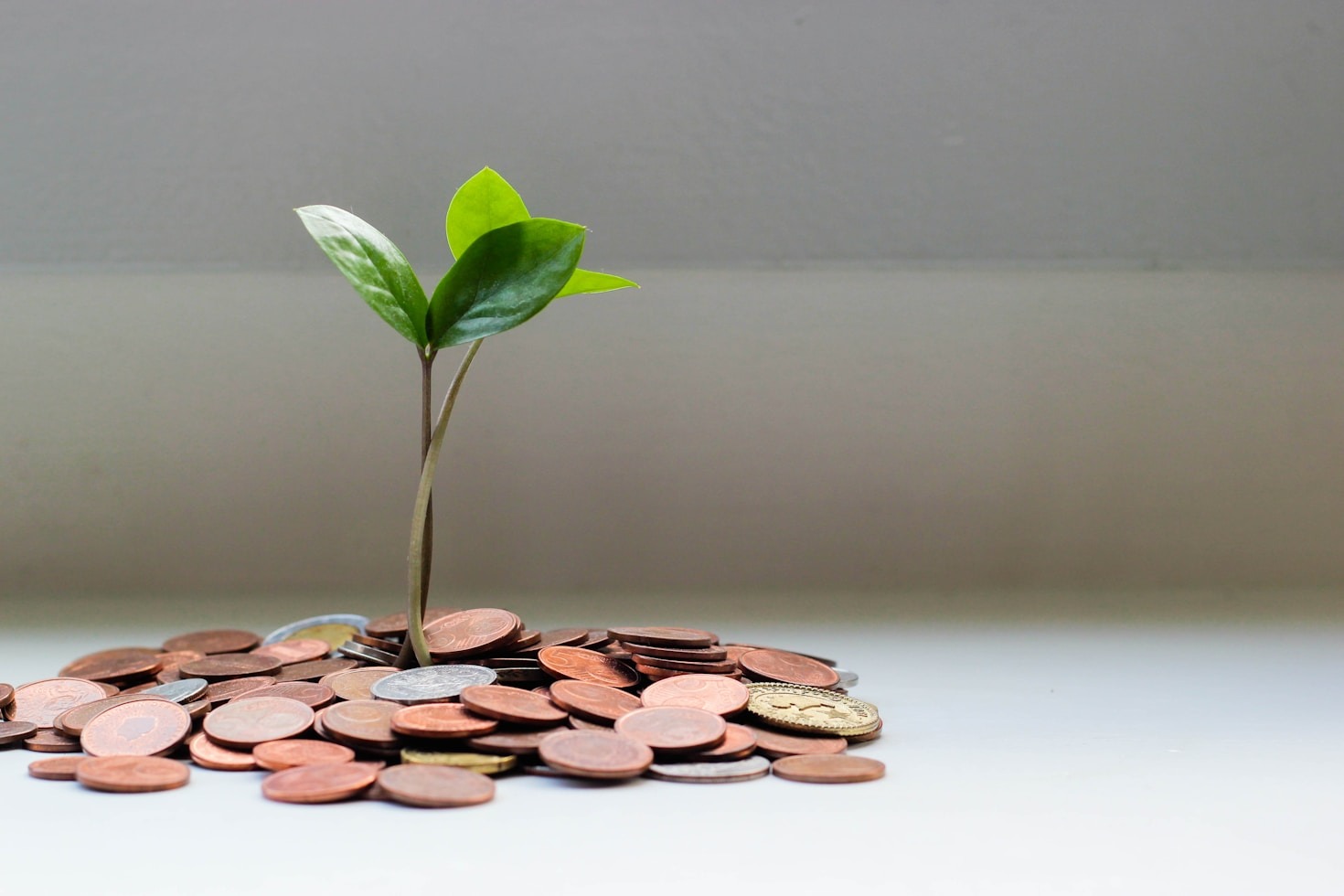 O que são ETFs e como funcionam?